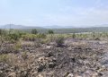 Požar u Mostarskom Cernu ugašen brzom intervencijom vatrogasaca i mještana
