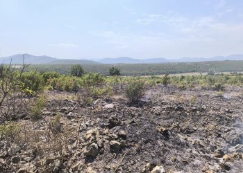 Požar u Mostarskom Cernu ugašen brzom intervencijom vatrogasaca i mještana