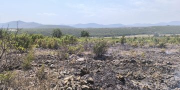 Požar u Mostarskom Cernu ugašen brzom intervencijom vatrogasaca i mještana