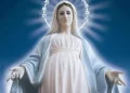 Velika Gospa slavi se u 71 marijanskoj župi i svetištu u BiH, njih 27 toga dana slavi svoj patron