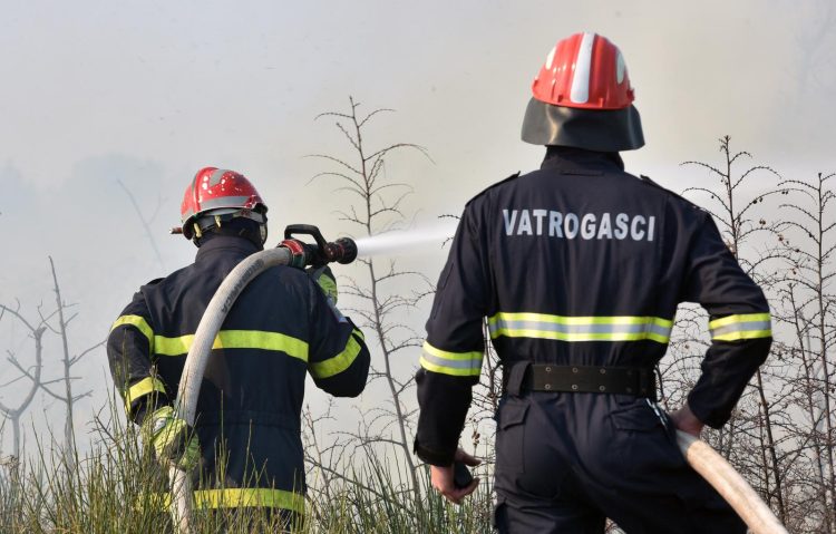 VATROGASCI NA PRVOJ LINIJI OBRANE | Ljeto im donosi najteže izazove