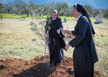 Dani berbe maslina u Bijelom Polju uz druženje, odmor i predavanja