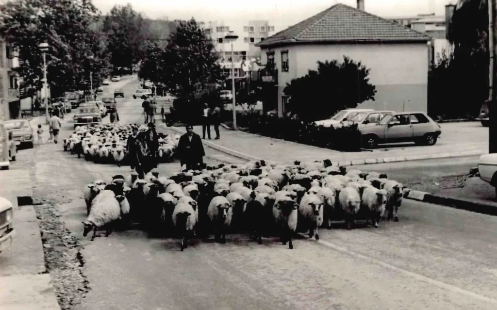 FOTO | Sjećate li se ovakvog Čitluka? Stare fotografije vraćaju nas u neka druga vremena