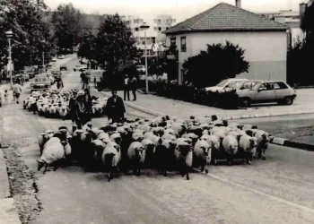 FOTO | Sjećate li se ovakvog Čitluka? Stare fotografije vraćaju nas u neka druga vremena